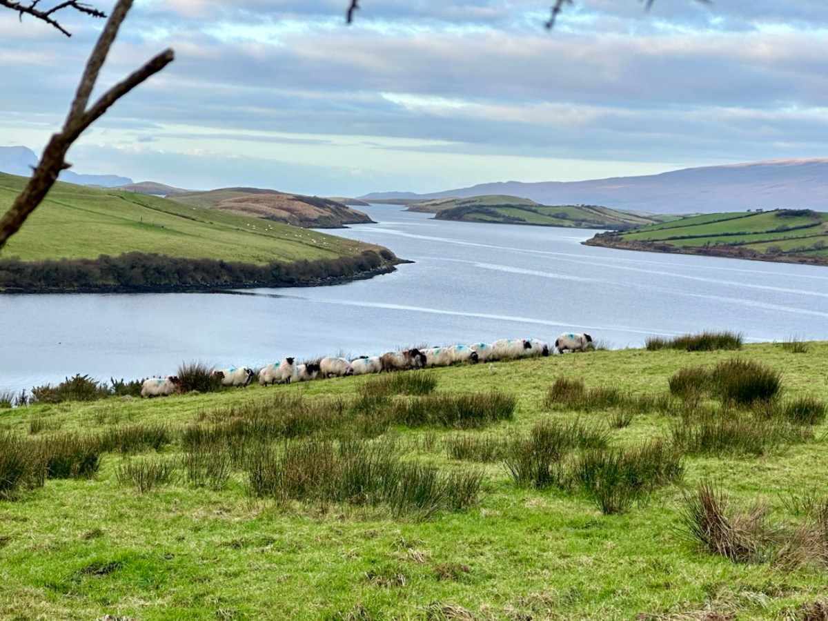 Happy New Year’s Eve… from the couch + Ireland trip&nbsp;teaser