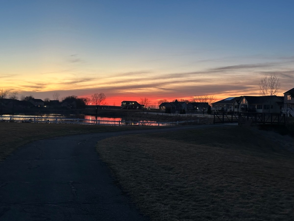 Reaping the fruits of teenaged drivers (and other random&nbsp;updates)