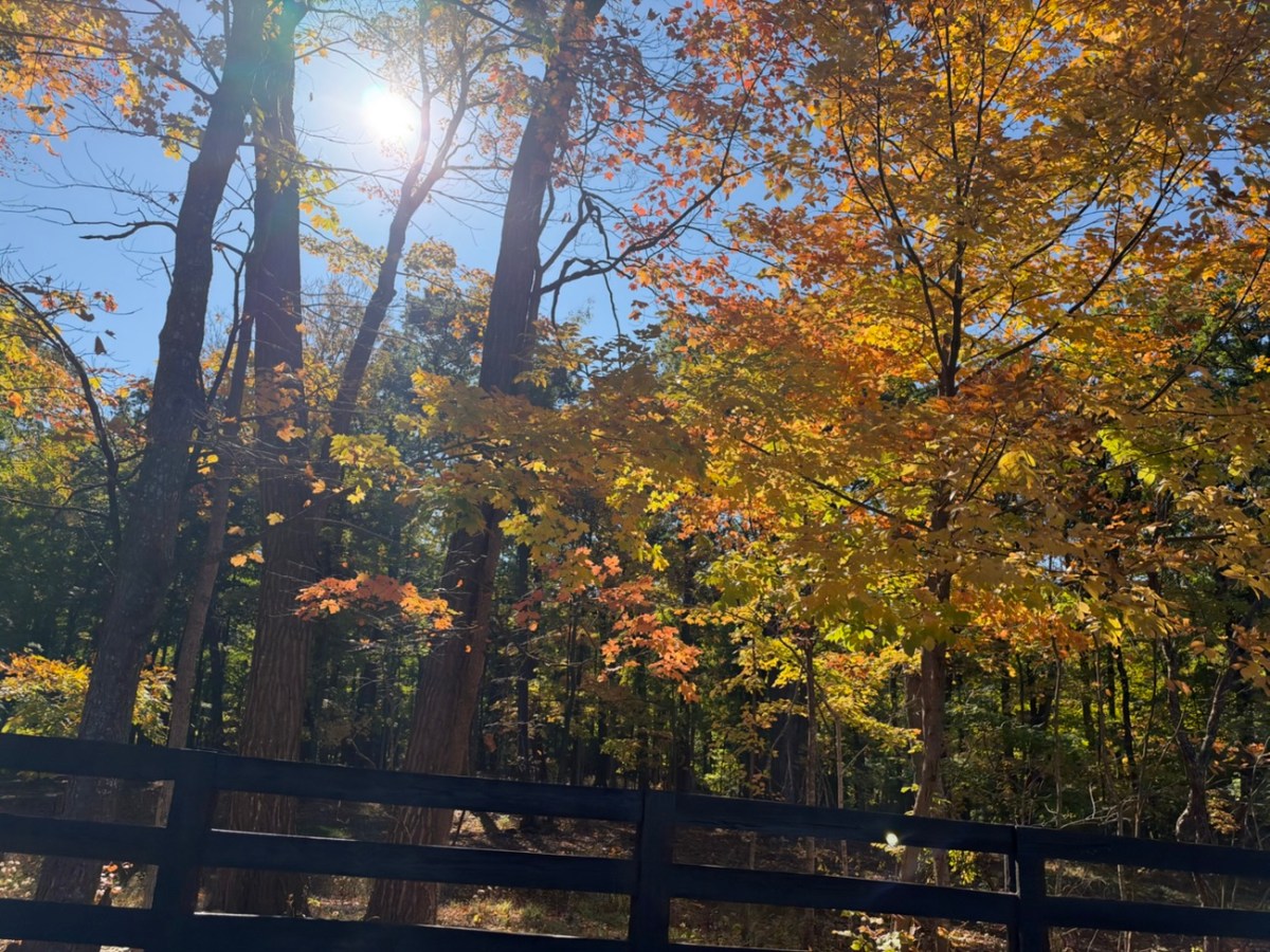 Fall getaway in Lake Geneva: Day&nbsp;3